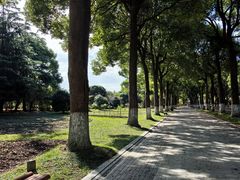 -上海鲜花港