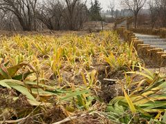 -白水寺森林公园