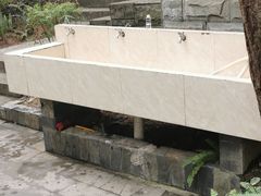 -铁山坪森林公园