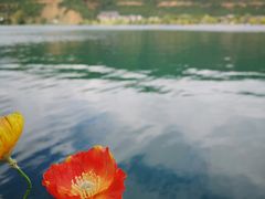 -泸沽湖里格半岛