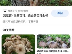 -雀舞云南菜(乐客城店)