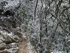 -梧桐山风景名胜区