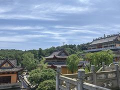 -铁山坪森林公园