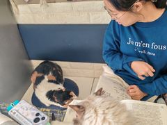 -平行世界·猫咖(首经贸店)