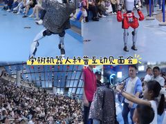 -合肥海洋世界