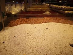 -TASTE(南海万科广场店)