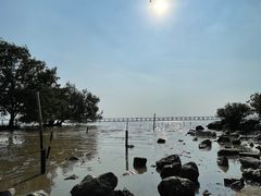 -宝安西湾红树林湿地公园