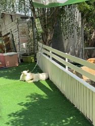 -可可天空农场(中大店)