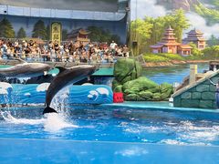 -海合安成都极地海洋公园
