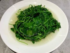 -蘭心餐厅(进贤路店)