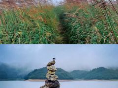 -浙西天池景区