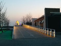 -大兴滨河森林公园