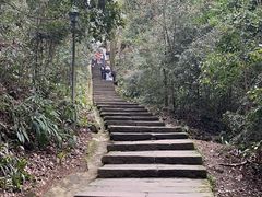 -缙云山景区
