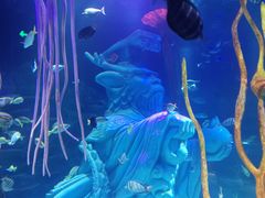 -沈阳海洋探索中心