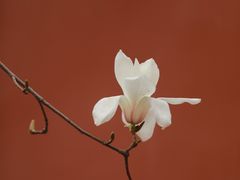 -天坛公园