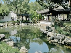 -月湖公园