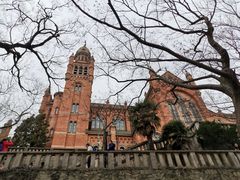 -上海佘山国家森林公园天马山园