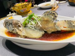 清蒸石斑鱼-羲和雅苑•北京烤鸭(平安国际金融中心店)