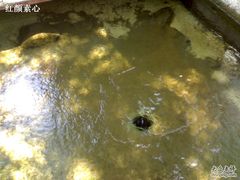 -泉乐坊步行街(烟酒特产平价超市店)