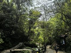 -桂林古东瀑布景区