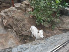 -广东茂名森林公园