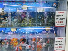 -大润发(明珠店)