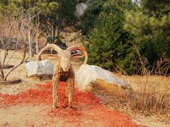 -北京西山国家森林公园