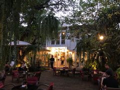 -Fern Forest Cafe