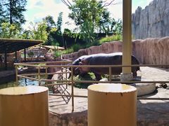 -武汉动物园