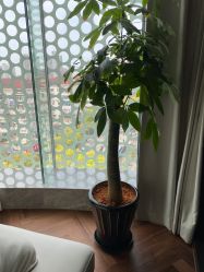 -铂诗玥医美