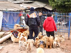 -蜀大侠火锅(春熙路店)
