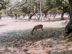 -西安秦岭野生动物园