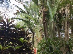 -海南热带野生动植物园