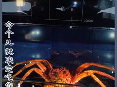 -同济大学四平路校区深海探索馆