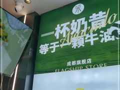 -茉酸奶(春熙路店)