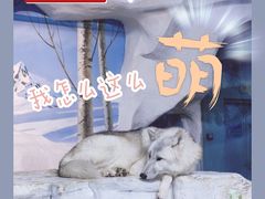 -南京海底世界