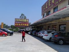 -正宗高流河饭店原创风姜鸡