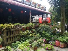 -国生茶庄·地道农家菜团建活动