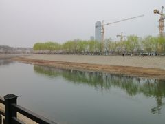 -桃花堤公园