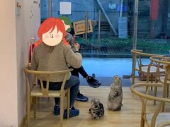 -猫咪派对(江南西店)