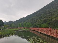 -广州市石门国家森林公园