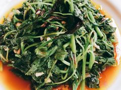 蒜蓉炒米苋-鱼食饭稻·苏浙土菜17年老馆子(平江路店)