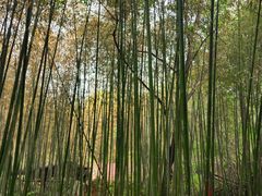 -竹泉村旅游度假区