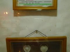 -上海大自然野生昆虫馆