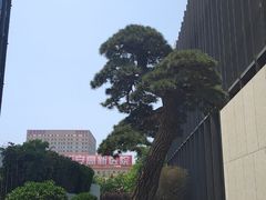 -西安高新洲际酒店•源咖啡全日制餐厅