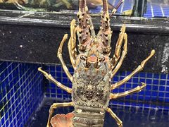 -明记海鲜大排档(巽寮湾店)