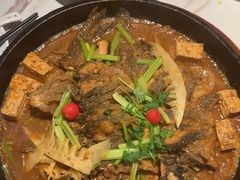 -老板恋上鱼(高新万达店)