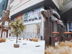 -首开·龙湖成都西宸天街