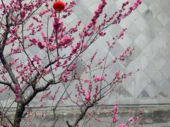 -胡雪岩故居