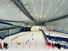 -哈尔滨热雪奇迹